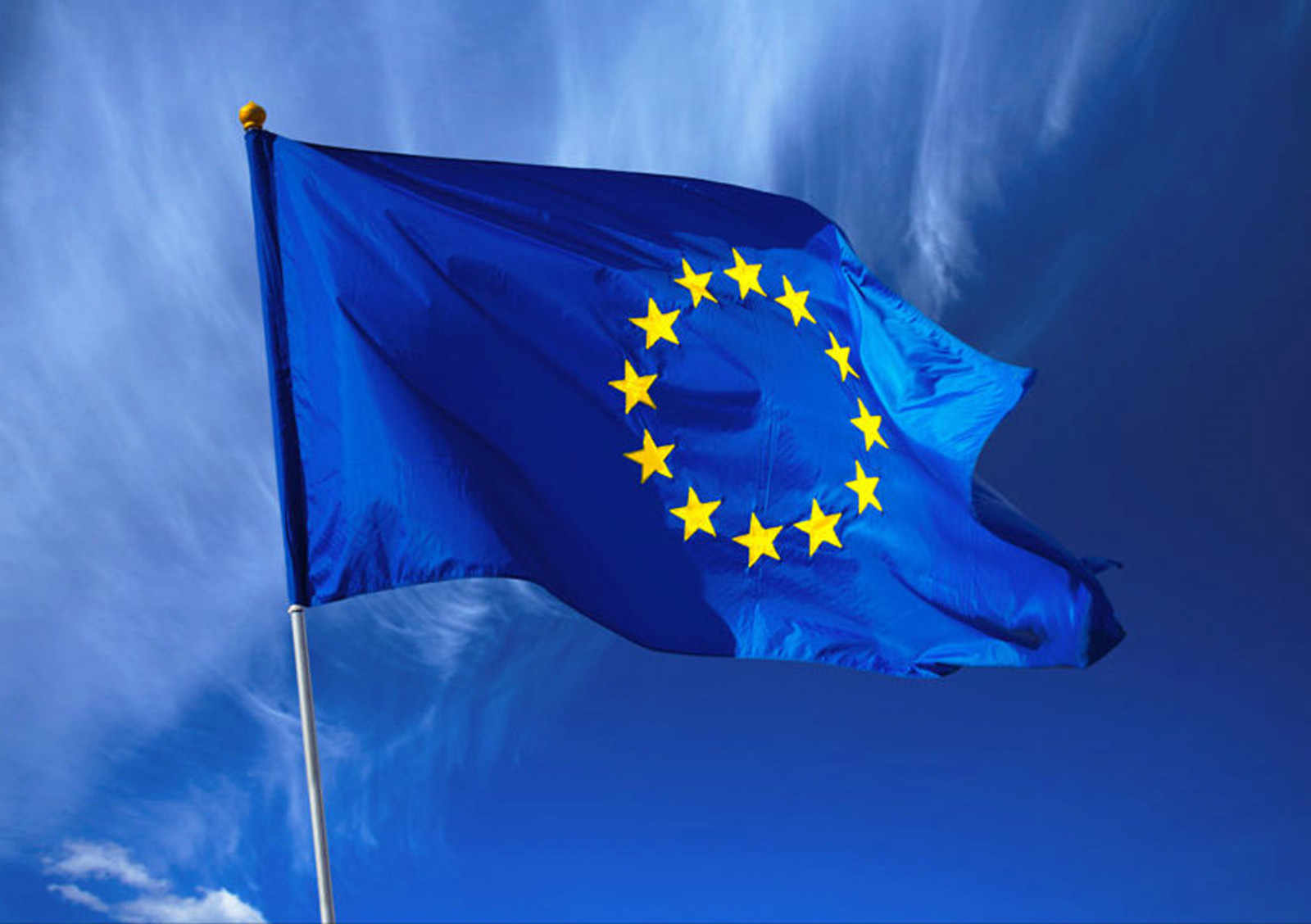 EU flag 