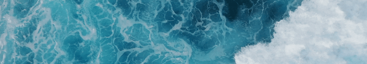 Explore Atlantica y Pacifica, our new public humanities journal 