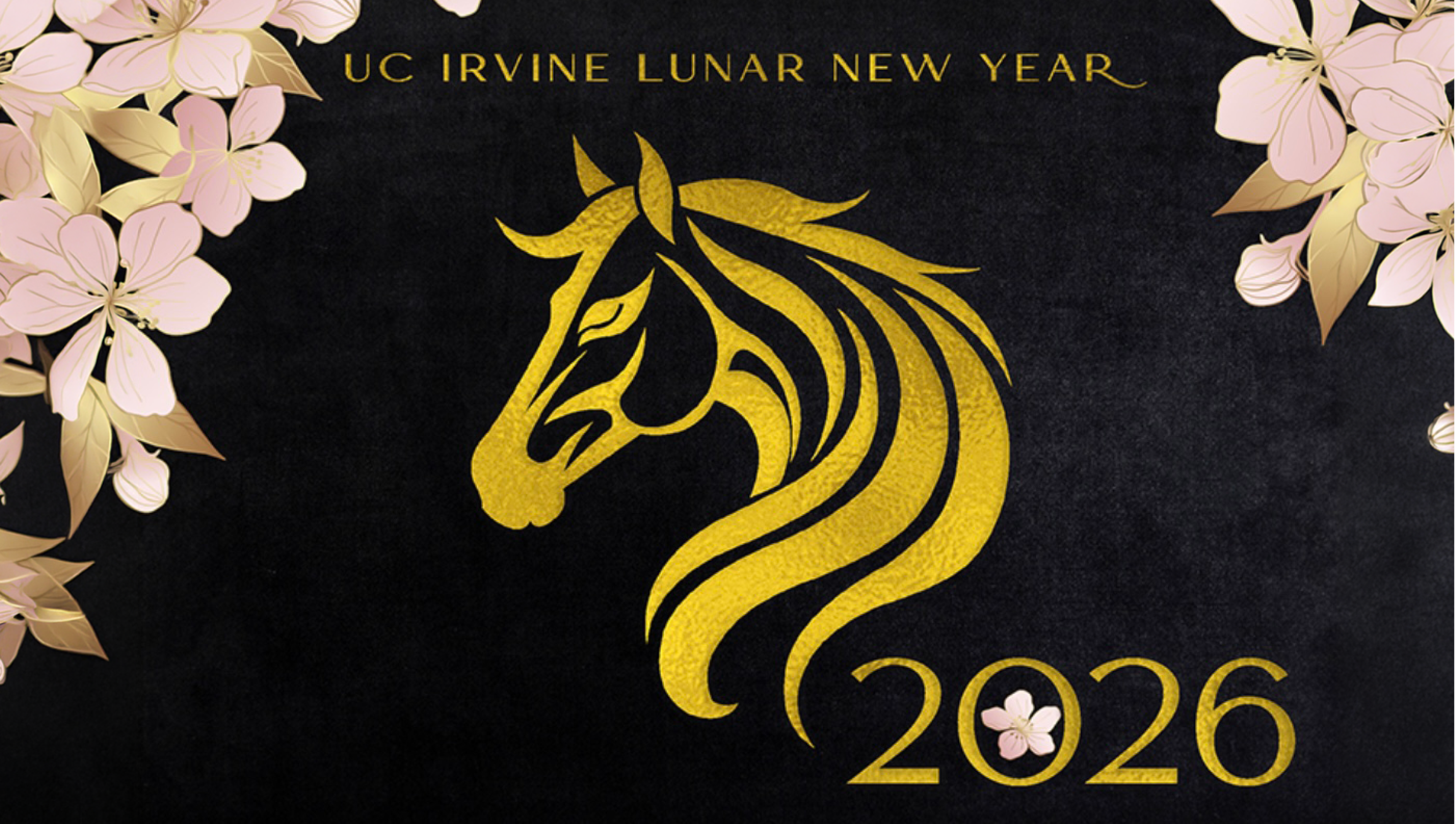 Year of Horse