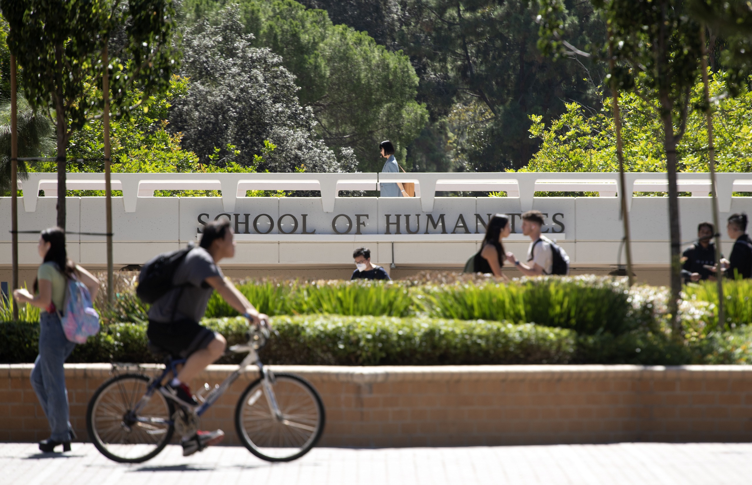 school of humanities bridge